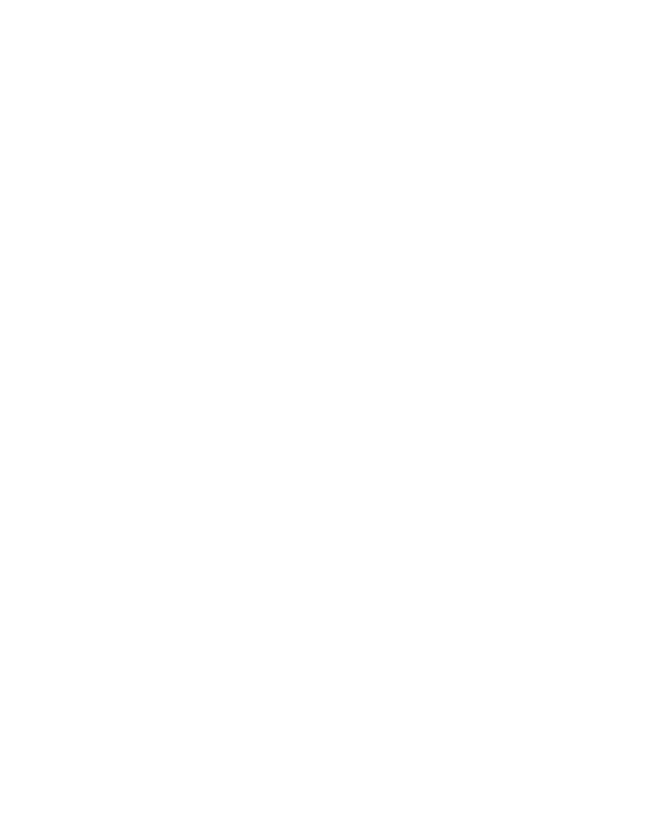 SeeCoat Next Bright